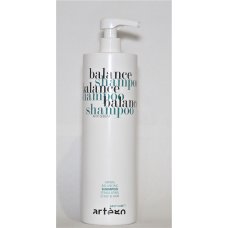 Artego (Артего) Балансирующий шампунь (Balance Shampoo) 1000 мл