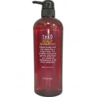 Lebel (Лейбл) Шампунь от выпадения волос для мужчин (Theo Scalp Shampoo), 600мл 
