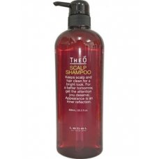 Lebel (Лейбл) Шампунь от выпадения волос для мужчин (Theo Scalp Shampoo), 600мл