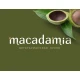 MACADAMIA