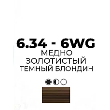 Artego ( АРТЕГО ) 6.34 - 6WG Warm Gold Dark Blonde / Медно золотистый темный блондин BEAUTY FUSION, 100 мл