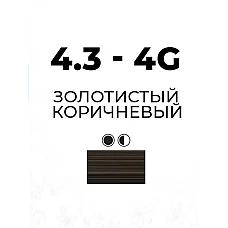 Artego ( АРТЕГО ) 4.3 - 4G Золотистый коричневый Gold Brown / BEAUTY FUSION, 100 мл Artego ( АРТЕГО ) 4.3 - 4G Золотистый коричневый Gold Brown / BEAUTY FUSION, 100 мл