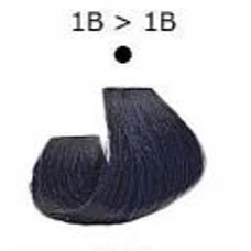 Artego (Артего) 1B - черно-синий. Стойкая крем-краска для волос ARTEGO IT'S COLOR, 150 мл