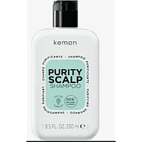 Kemon ( Кемон) - Очищающий шампунь Kemon Purity Scalp Shampoo 250 мл